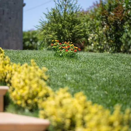 Bed & Breakfast Paradiso 4*