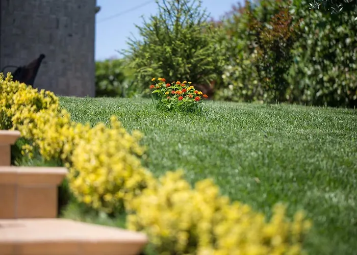 Bed & Breakfast Paradiso 4*